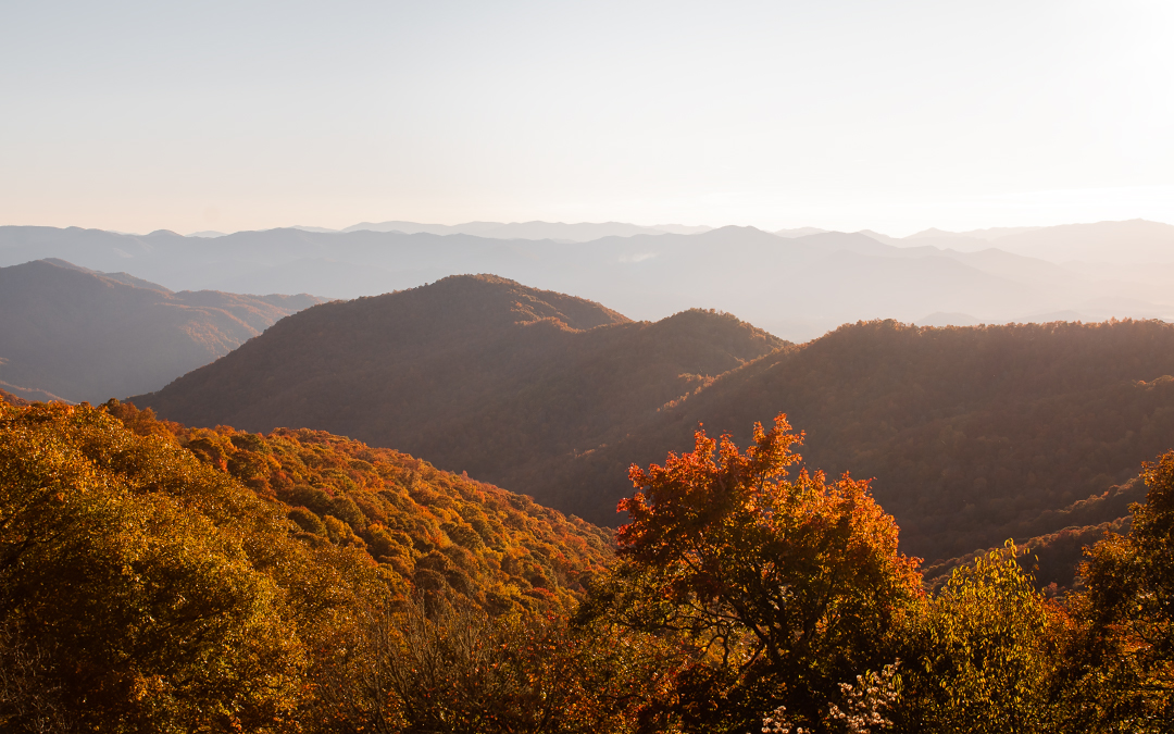 Photo of Blue Ridge Parkway during fall